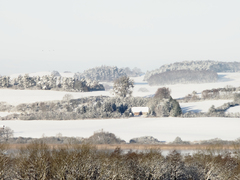 Killikus&reg; Fotographie