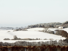 Killikus&reg; Fotographie