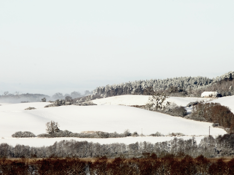 Killikus&reg; Fotographie