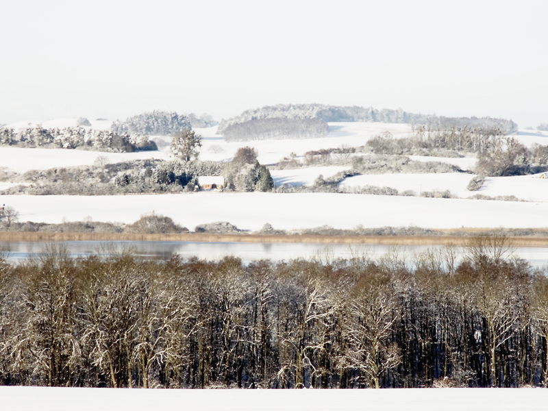 Killikus&reg; Fotographie