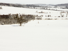 Killikus&reg; Fotographie