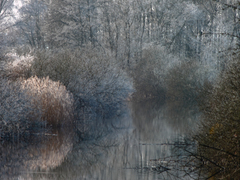 Killikus&reg; Fotographie