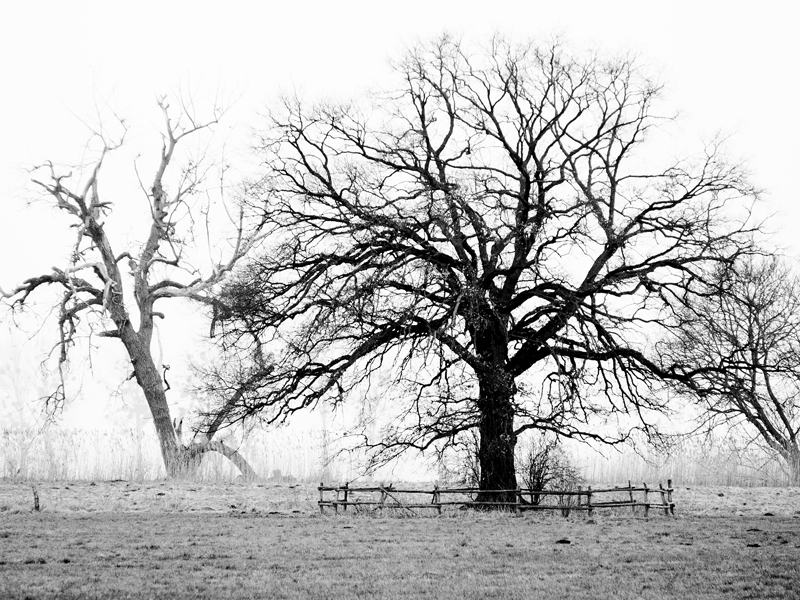 Killikus&reg; Fotographie