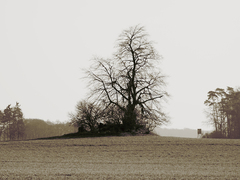 Killikus&reg; Fotographie