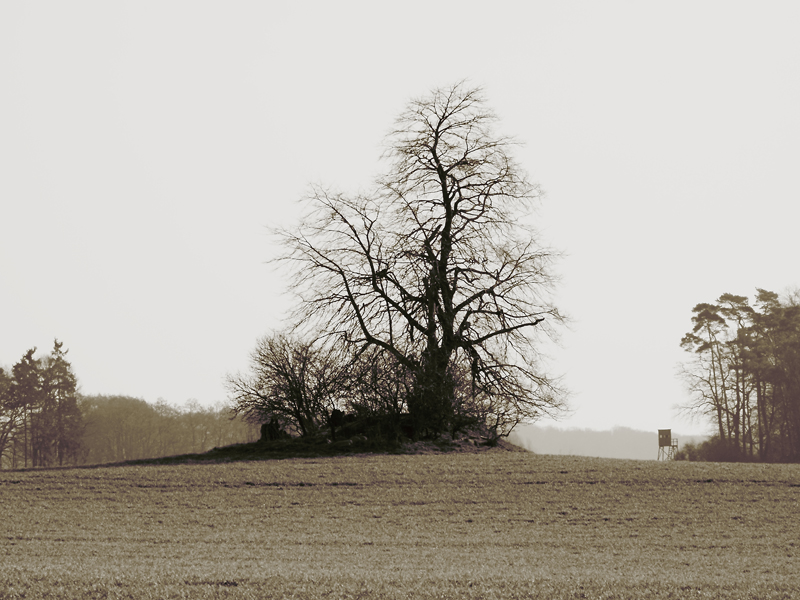 Killikus&reg; Fotographie