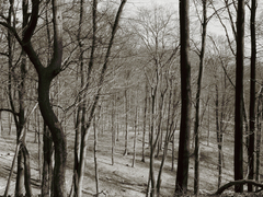 Killikus&reg; Fotographie