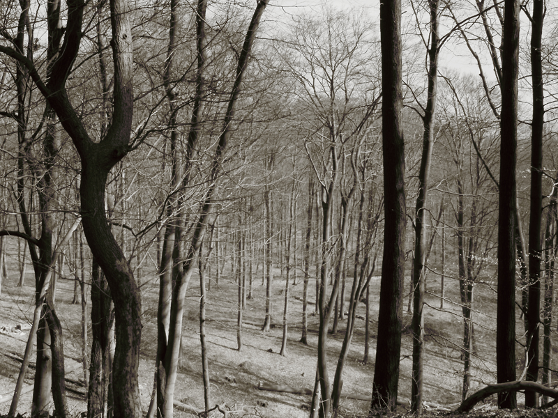 Killikus&reg; Fotographie