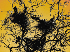 Killikus&reg; Fotographie