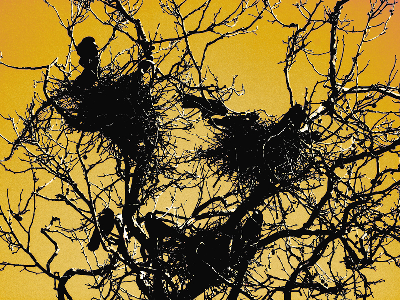 Killikus&reg; Fotographie