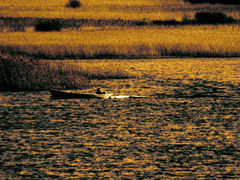 Killikus&reg; Fotographie