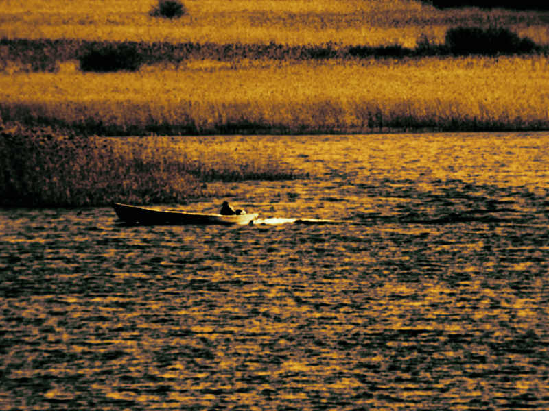 Killikus® Fotographie Killikus® Fotographie