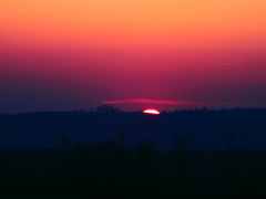 Killikus&reg; Fotographie