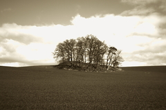 Killikus&reg; Fotographie