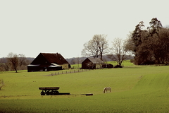 Killikus&reg; Fotographie