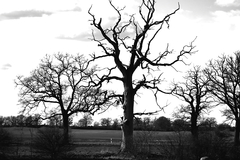 Killikus&reg; Fotographie