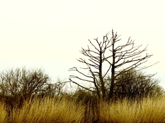 Killikus&reg; Fotographie