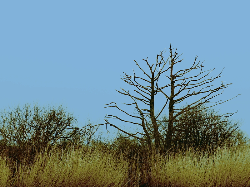 Killikus&reg; Fotographie