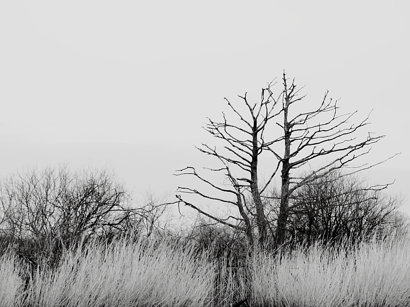 Killikus® Fotographie Killikus® Fotographie