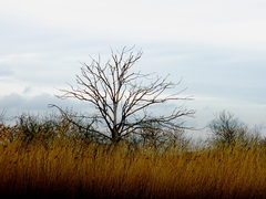 Killikus&reg; Fotographie