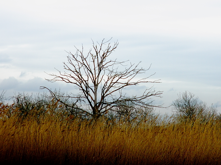 Killikus&reg; Fotographie