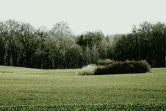 Killikus&reg; Fotographie