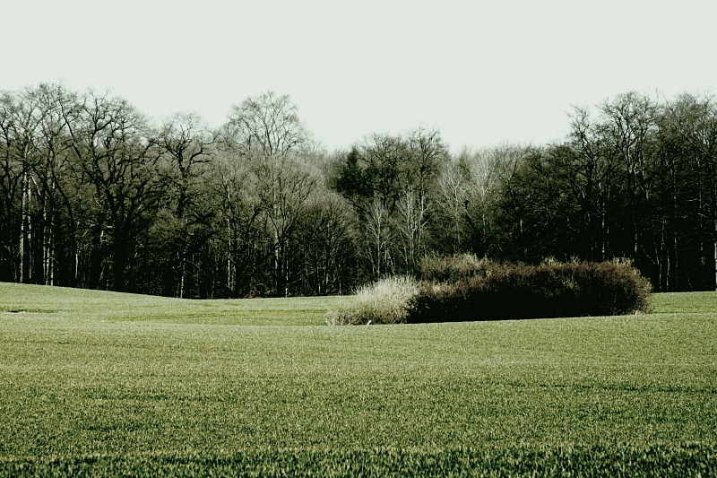 Killikus&reg; Fotographie