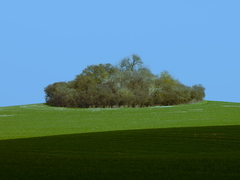 Killikus&reg; Fotographie