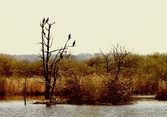 Killikus&reg; Fotographie