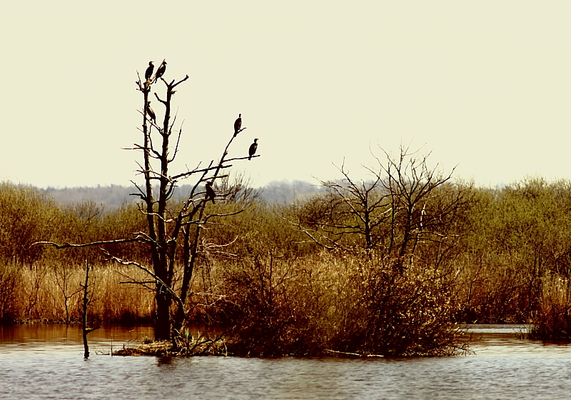 Killikus&reg; Fotographie