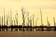 Killikus&reg; Fotographie