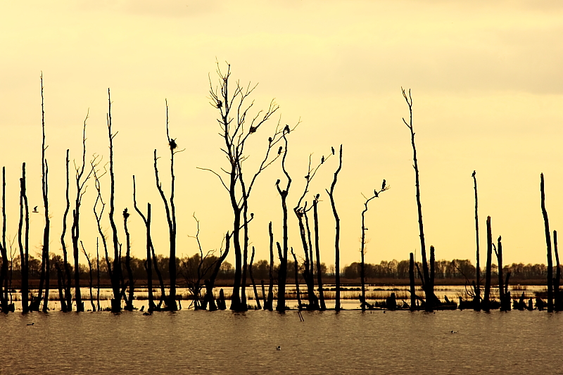 Killikus&reg; Fotographie