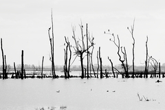 Killikus&reg; Fotographie