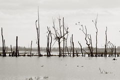 Killikus&reg; Fotographie