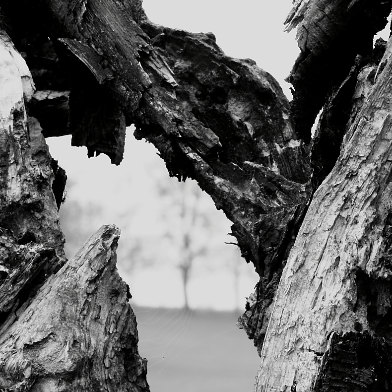 Killikus® Fotographie Killikus® Fotographie