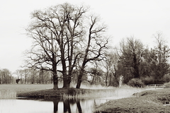 Killikus&reg; Fotographie