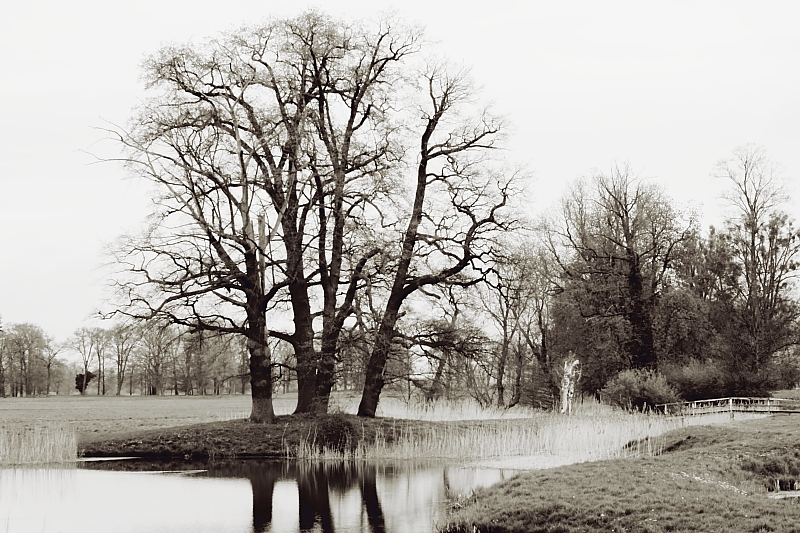 Killikus&reg; Fotographie