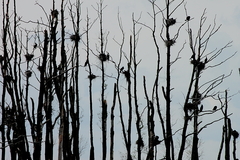 Killikus&reg; Fotographie