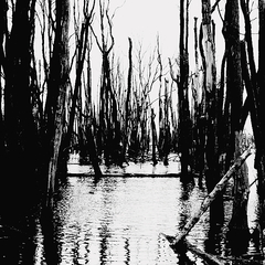 Killikus&reg; Fotographie