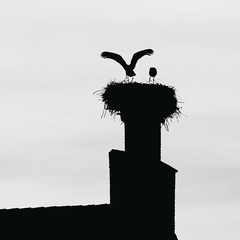 Killikus&reg; Fotographie