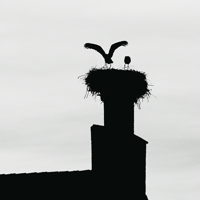 Killikus&reg; Fotographie