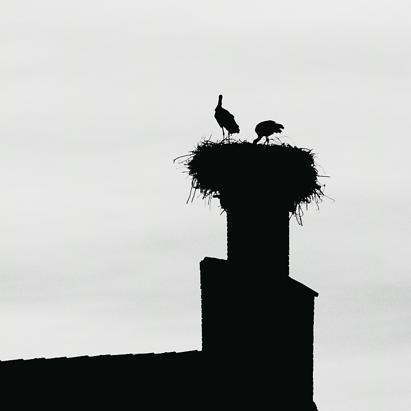 Killikus® Fotographie Killikus® Fotographie