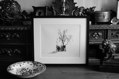 Killikus&reg; Fotographie