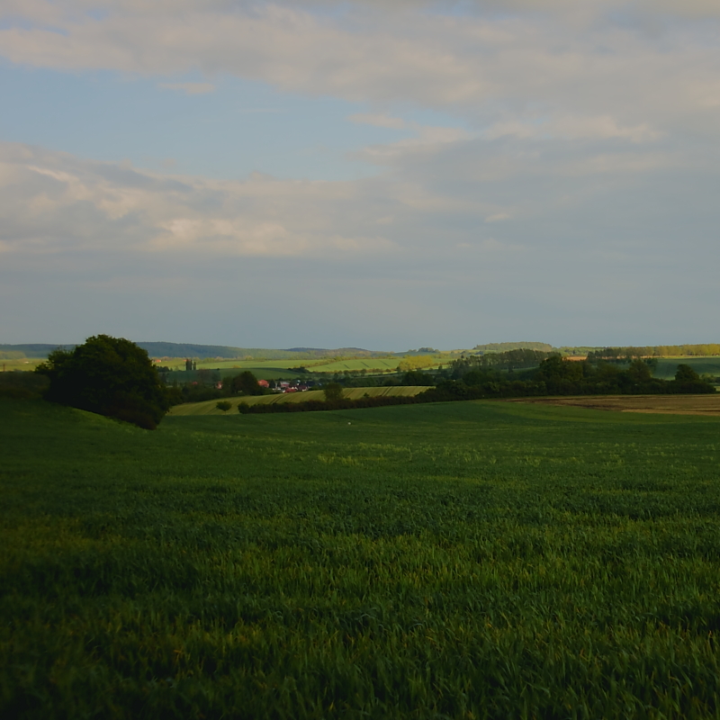 Killikus&reg; Fotographie