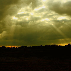 Killikus&reg; Fotographie