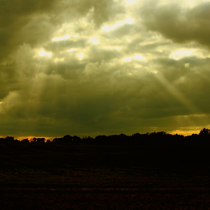 Killikus® Fotographie Killikus® Fotographie