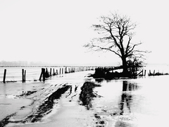 Killikus&reg; Fotographie