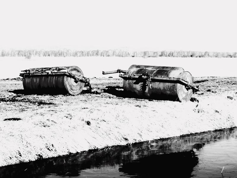 Killikus&reg; Fotographie