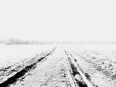 Killikus&reg; Fotographie