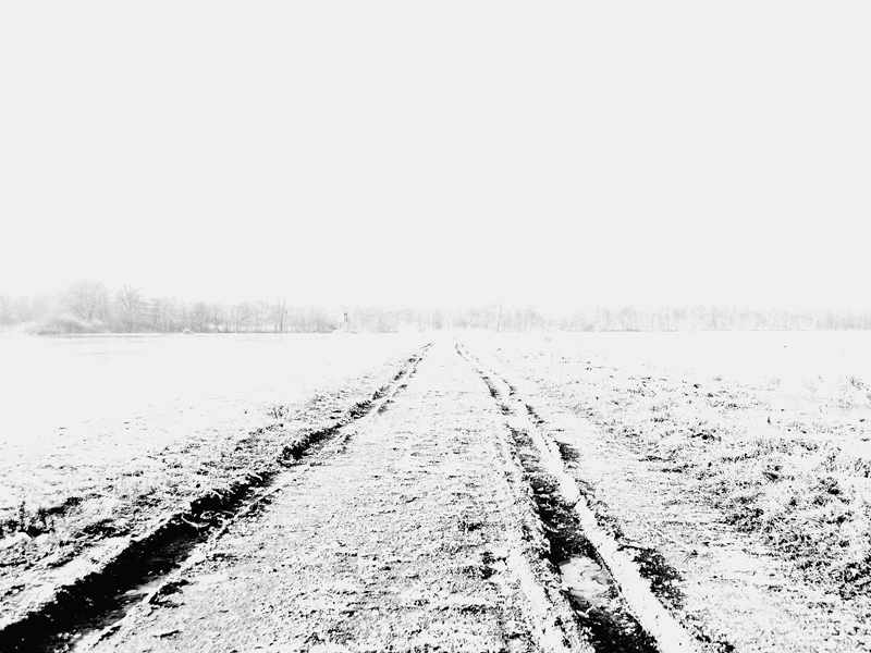 Killikus&reg; Fotographie