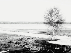 Killikus&reg; Fotographie